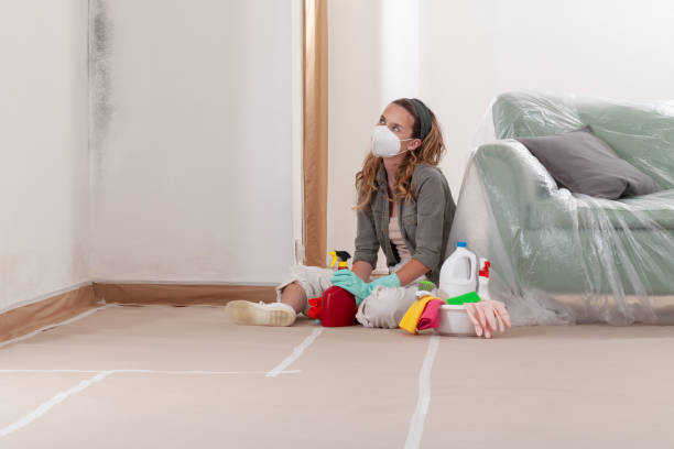Reliable Black Mold Remediation contractor in Plainview, TX by 24 Hour Mold Removal
